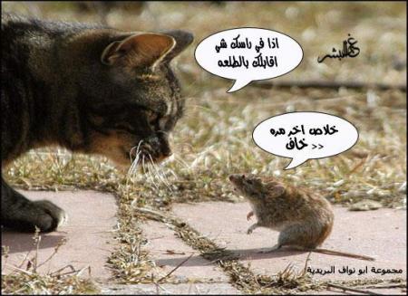 AMOCH
